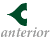anterior
